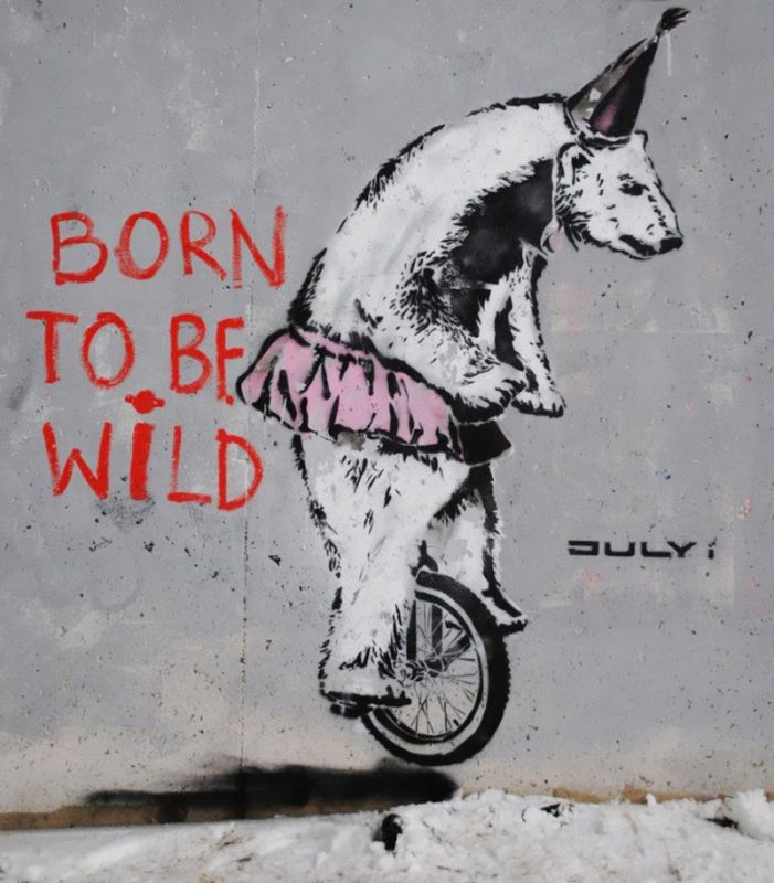 born-to-be-wild-tranh